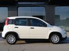 Fiat Panda 1.0 firefly hybrid 70cv s&s