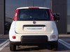 Fiat Panda 1.0 firefly hybrid 70cv s&s