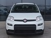 Fiat Panda 1.0 firefly hybrid 70cv city life s&s