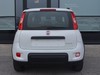 Fiat Panda 1.0 firefly hybrid 70cv city life s&s