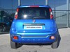 Fiat Panda cross 1.0 firefly hybrid 70cv s&s 5p.ti