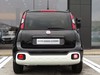 Fiat Panda pandina 1.0 firefly hybrid 70cv s&s