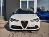 Alfa Romeo Stelvio 2.2 turbo 210cv veloce q4 at8