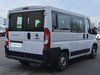 Fiat Professional Ducato panorama 30 ch1 2.3 mjt 140cv e6d-temp