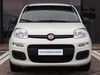 Fiat Panda 1.0 firefly hybrid 70cv s&s 5p.ti
