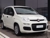 Fiat Panda 1.0 firefly hybrid 70cv s&s 5p.ti