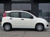 Fiat Panda 1.0 firefly hybrid 70cv s&s 5p.ti