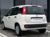 Fiat Panda 1.0 firefly hybrid 70cv s&s 5p.ti