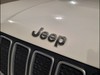 Jeep Renegade 1.6 multijet ii 130cv limited 2wd