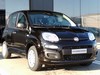 Fiat Panda 1.0 firefly hybrid 70cv s&s