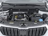 Skoda Karoq 1.0 tsi act 115cv executive