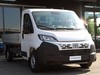 Fiat Professional Ducato Series 2 Stock My25 Autocarro Con Cassone Cabina Singola 35q Lh1 1