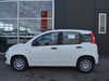 Fiat Panda 1.0 firefly hybrid 70cv s&s