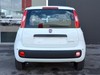 Fiat Panda 1.0 firefly hybrid 70cv s&s