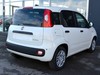 Fiat Professional Panda Van Series 9 1.0 Hybrid S&S 70cv E6.4 -  2 Posti