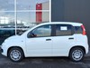 Fiat Professional Panda Van Series 9 1.0 Hybrid S&S 70cv E6.4 -  2 Posti