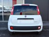 Fiat Professional Panda Van Series 9 1.0 Hybrid S&S 70cv E6.4 -  2 Posti