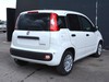 Fiat Professional Panda Van Series 9 1.0 Hybrid S&S 70cv E6.4 -  2 Posti