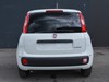 Fiat Professional Panda Van Series 9 1.0 Hybrid S&S 70cv E6.4 -  2 Posti