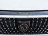 Peugeot 3008 73 kwh allure