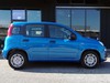 Fiat Panda 1.0 firefly hybrid 70cv s&s 5p.ti
