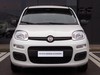 Fiat Panda 1.0 firefly hybrid 70cv s&s 5p.ti