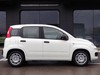 Fiat Panda 1.0 firefly hybrid 70cv s&s 5p.ti