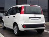 Fiat Panda 1.0 firefly hybrid 70cv s&s 5p.ti