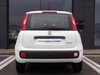 Fiat Panda 1.0 firefly hybrid 70cv s&s 5p.ti