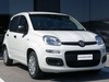 Fiat Panda 1.0 firefly hybrid 70cv s&s 5p.ti