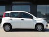Fiat Panda 1.0 firefly hybrid 70cv s&s 5p.ti