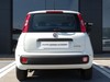Fiat Panda 1.0 firefly hybrid 70cv s&s 5p.ti