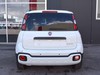 Fiat Panda pandina 1.0 firefly hybrid 70cv s&s