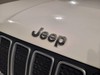 Jeep Renegade 1.6 multijet ii 130cv limited 2wd