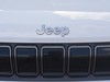Jeep Avenger 1.2 turbo 100cv longitude fwd