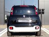 Fiat Panda pandina 1.0 firefly hybrid 70cv s&s