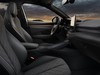 Cupra Terramar 1.5 e-hybrid 204cv impulse dsg