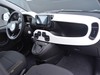 Fiat Panda pandina 1.0 firefly hybrid 70cv s&s