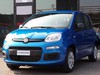 Fiat Panda 1.0 firefly hybrid 70cv s&s 5p.ti