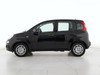 Fiat Panda 1.0 firefly hybrid 70cv pop s&s