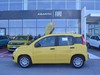 Fiat Panda 1.0 firefly hybrid 70cv pop s&s