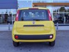 Fiat Panda 1.0 firefly hybrid 70cv pop s&s