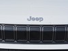 Jeep Avenger 1.2 turbo 100cv longitude fwd