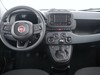 Fiat Panda pandina 1.0 firefly hybrid 70cv s&s 5p.ti