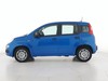 Fiat Panda pandina 1.0 firefly hybrid 70cv s&s 5p.ti