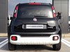 Fiat Panda pandina 1.0 firefly hybrid 70cv s&s
