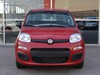 Fiat Panda pandina 1.0 firefly hybrid 70cv icon s&s 5p.ti