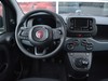 Fiat Panda pandina 1.0 firefly hybrid 70cv icon s&s 5p.ti
