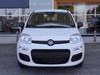 Fiat Panda pandina 1.0 firefly hybrid 70cv pop s&s