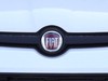 Fiat Panda pandina 1.0 firefly hybrid 70cv pop s&s